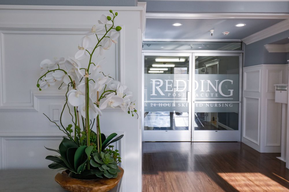 A modern office entrance featuring glass doors and a decorative orchid plant.
