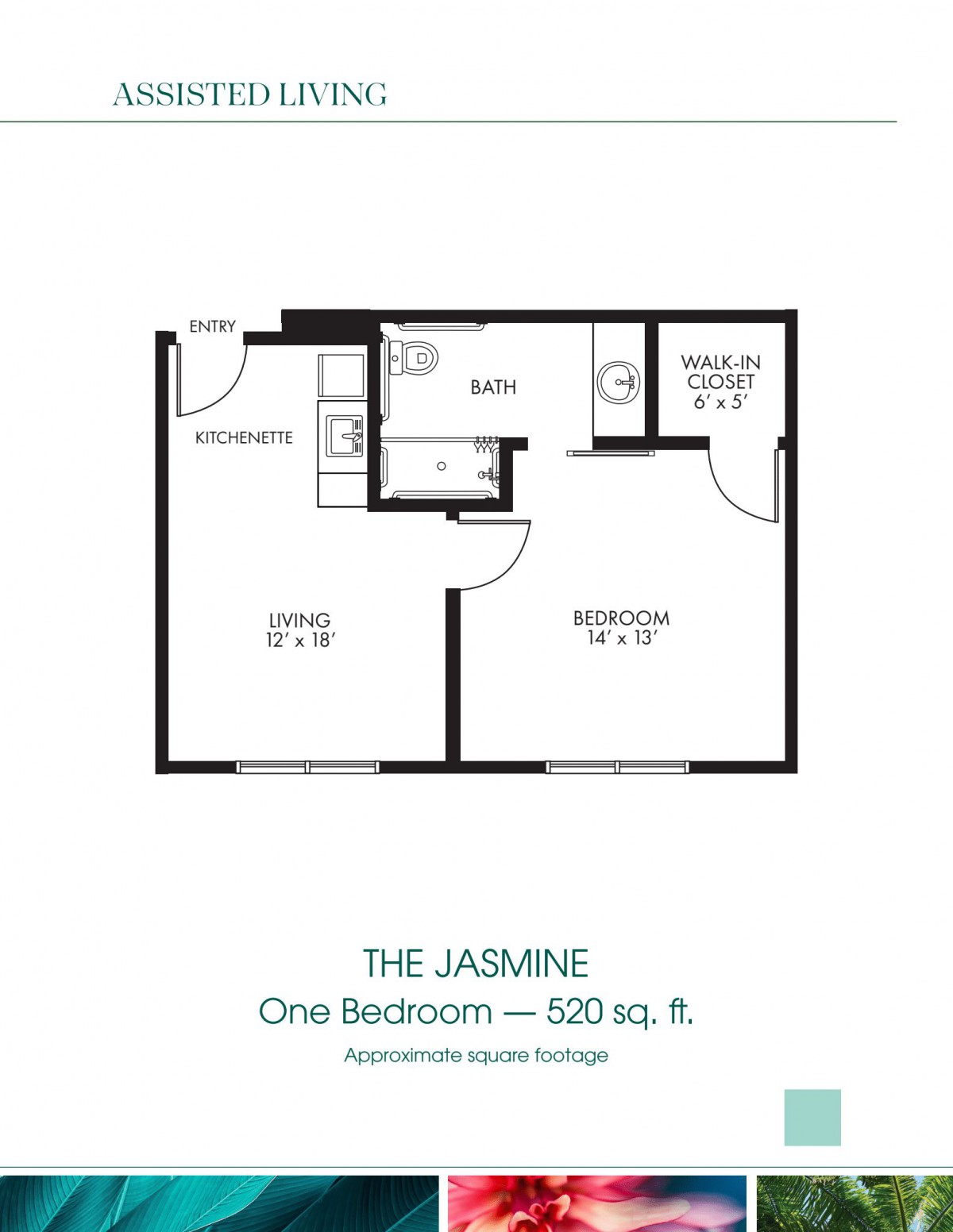 The Jasmine: A 590 sq. ft. one-bedroom apartment floor plan.