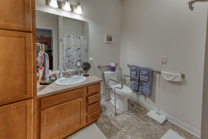 A well-lit bathroom with a sink, mirror, toilet, and shower area equipped with handrails for accessibility.