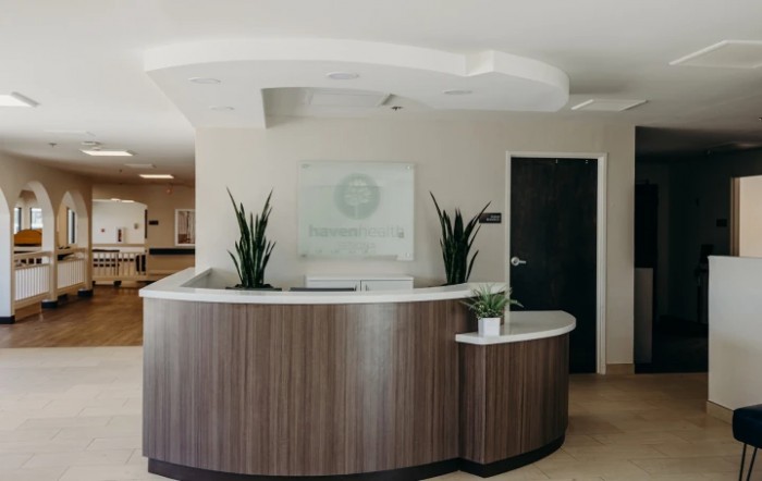 A modern reception desk with plants and a welcoming interior.