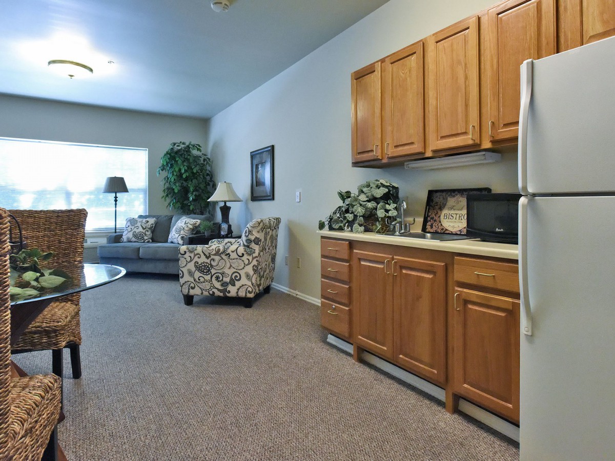 A cozy open-plan living room and kitchen area with wooden cabinetry and comfortable seating.