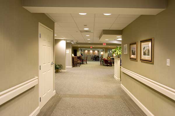 A well-lit hallway with carpeted flooring, framed pictures, and plants.