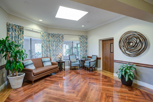 A cozy living room featuring a mix of natural light, comfortable seating, and elegant decor.