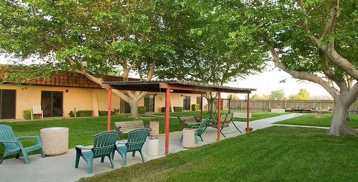 A serene outdoor patio area with chairs and sunshade, surrounded by lush green trees.