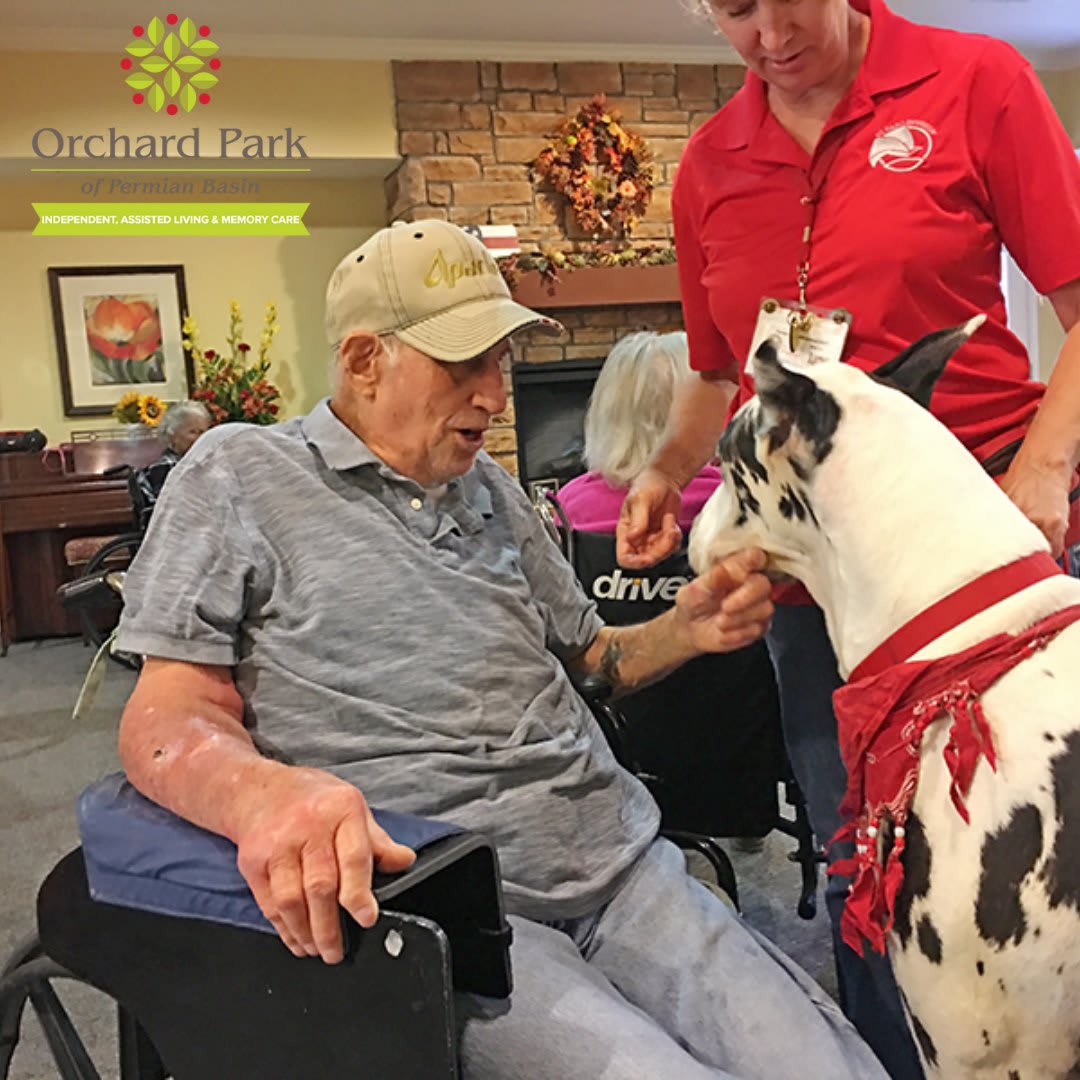 An elderly man in a wheelchair interacts with a therapy dog, accompanied by a caregiver in a red shirt.