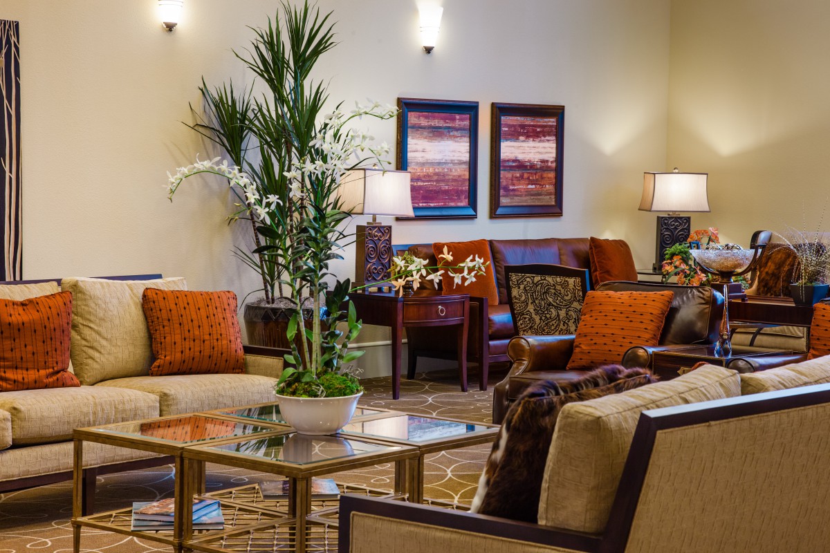 A cozy hotel lobby with comfortable seating, decorative plants, and framed artwork.