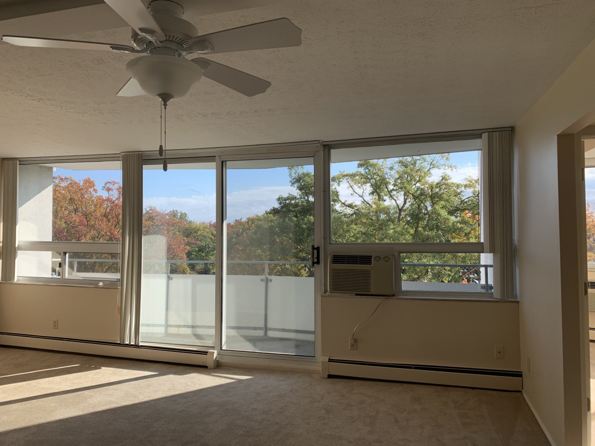 Park Vista