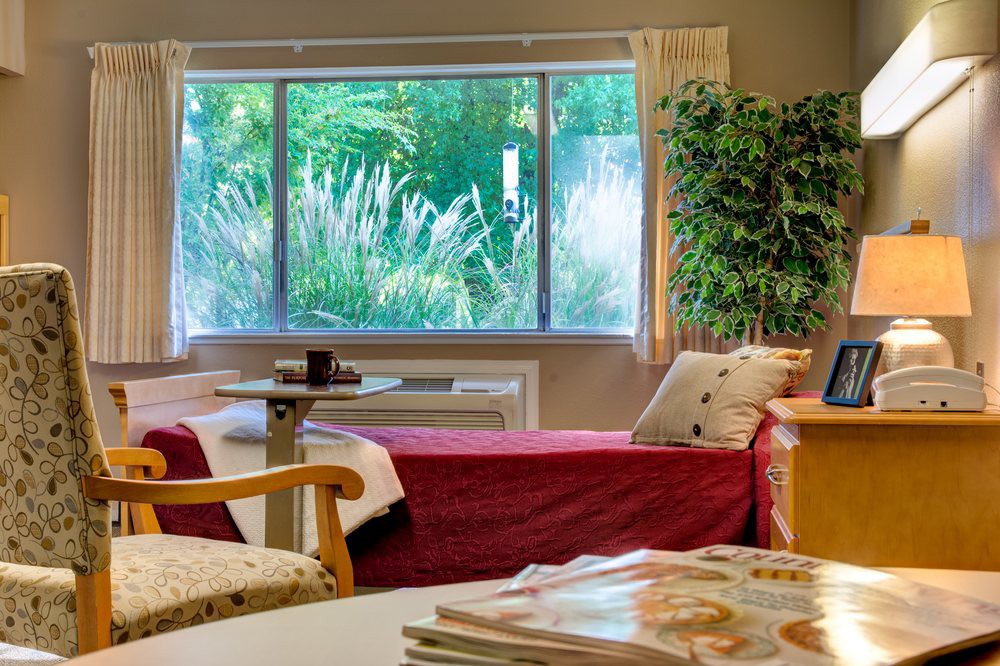 A cozy living room with a large window allowing natural light to brighten the space, featuring a sofa adorned with pillows and a table with magazines.