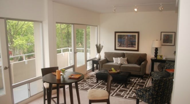 A modern living room with a comfortable sofa, stylish rug, and ample natural light streaming through glass doors.