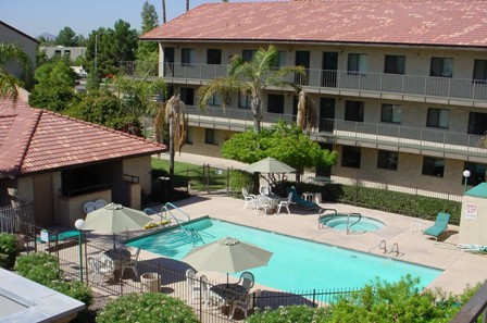 A sunny day at a hotel featuring a refreshing swimming pool surrounded by palm trees and comfortable seating.