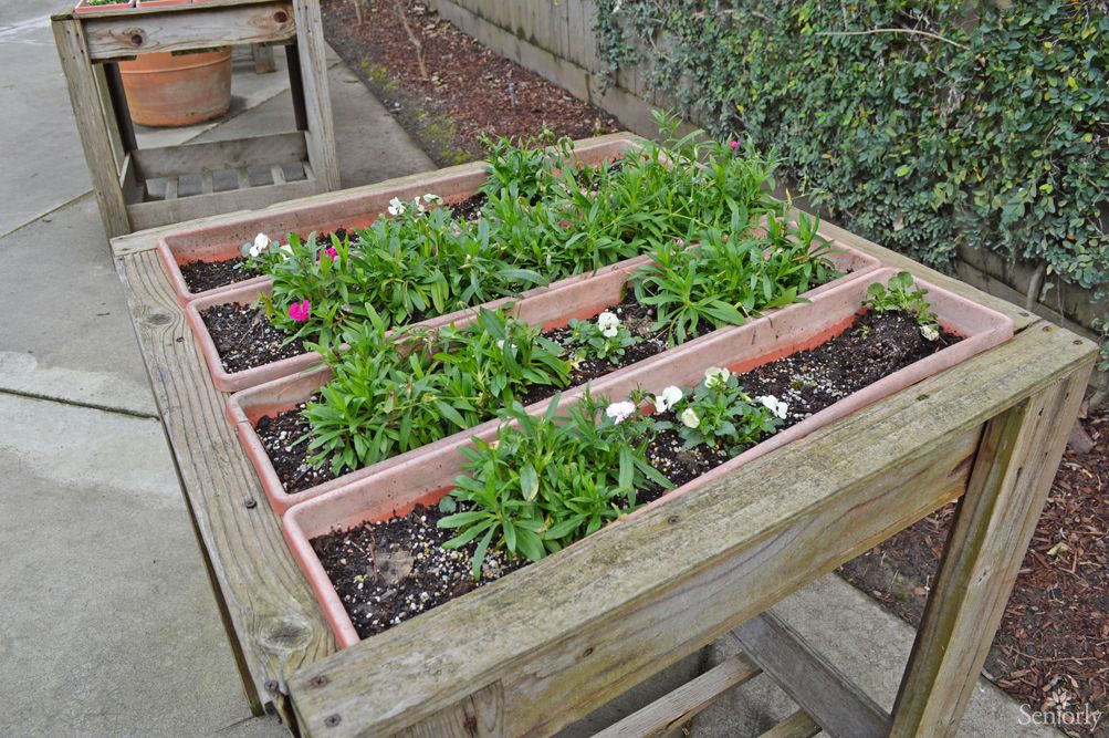 A wooden table displaying several rectangular planters filled with blooming flowers in a garden setting.