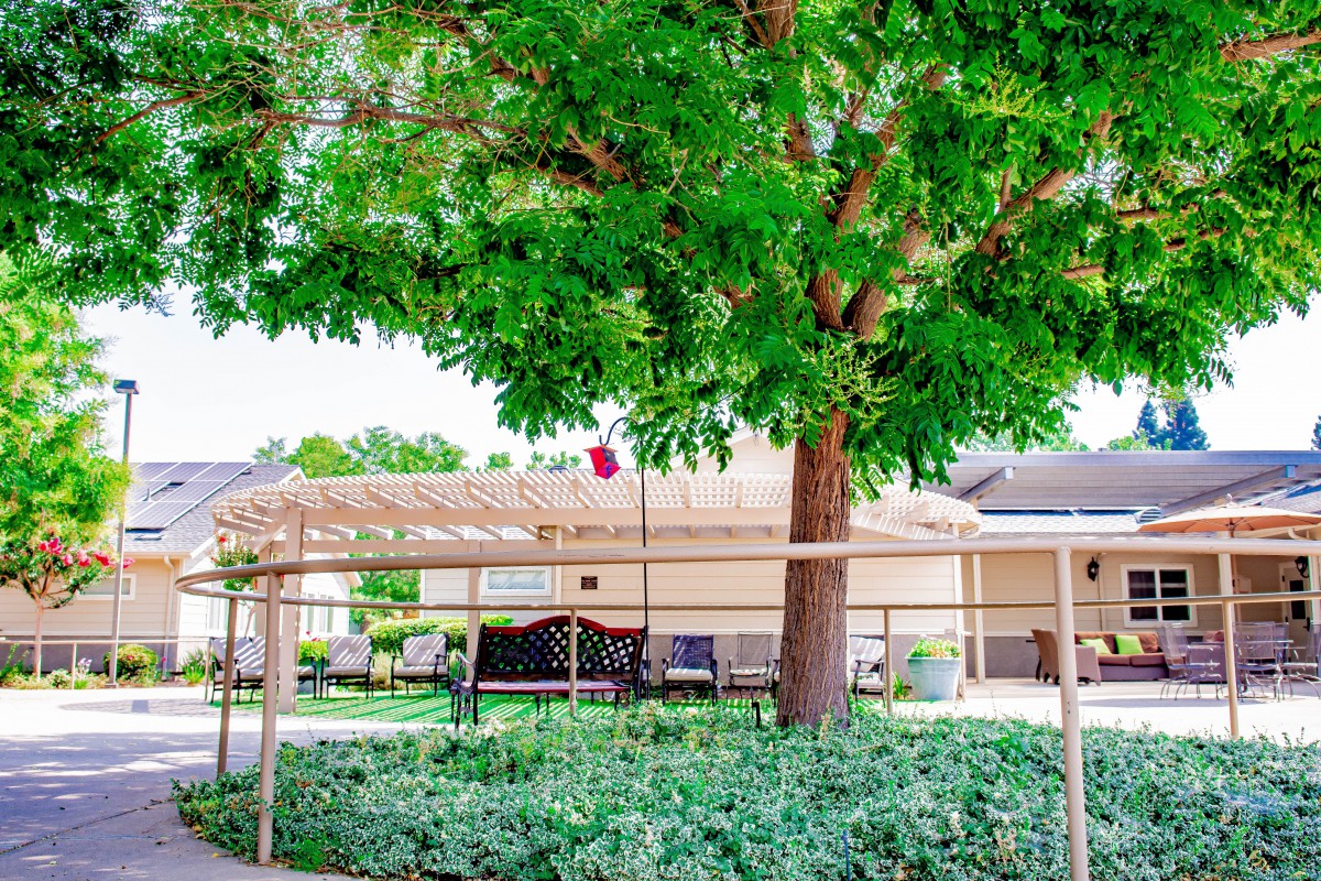 A tranquil backyard scene featuring a large tree, patio furniture, and lush greenery.