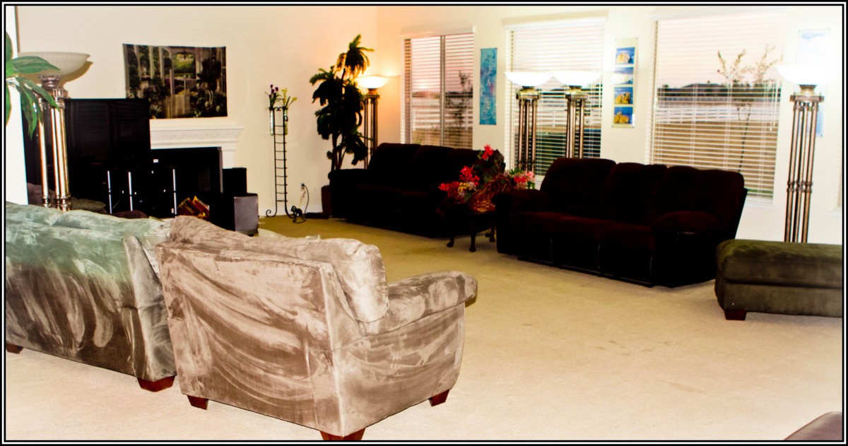 A cozy living room with sofas and indoor plants, showcasing comfortable and stylish home decor.