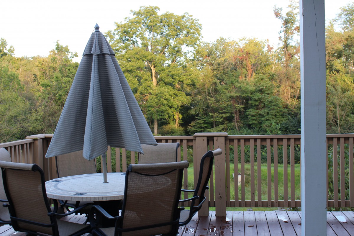 A peaceful backyard deck with a table, chairs, and an umbrella overlooking a lush green landscape.