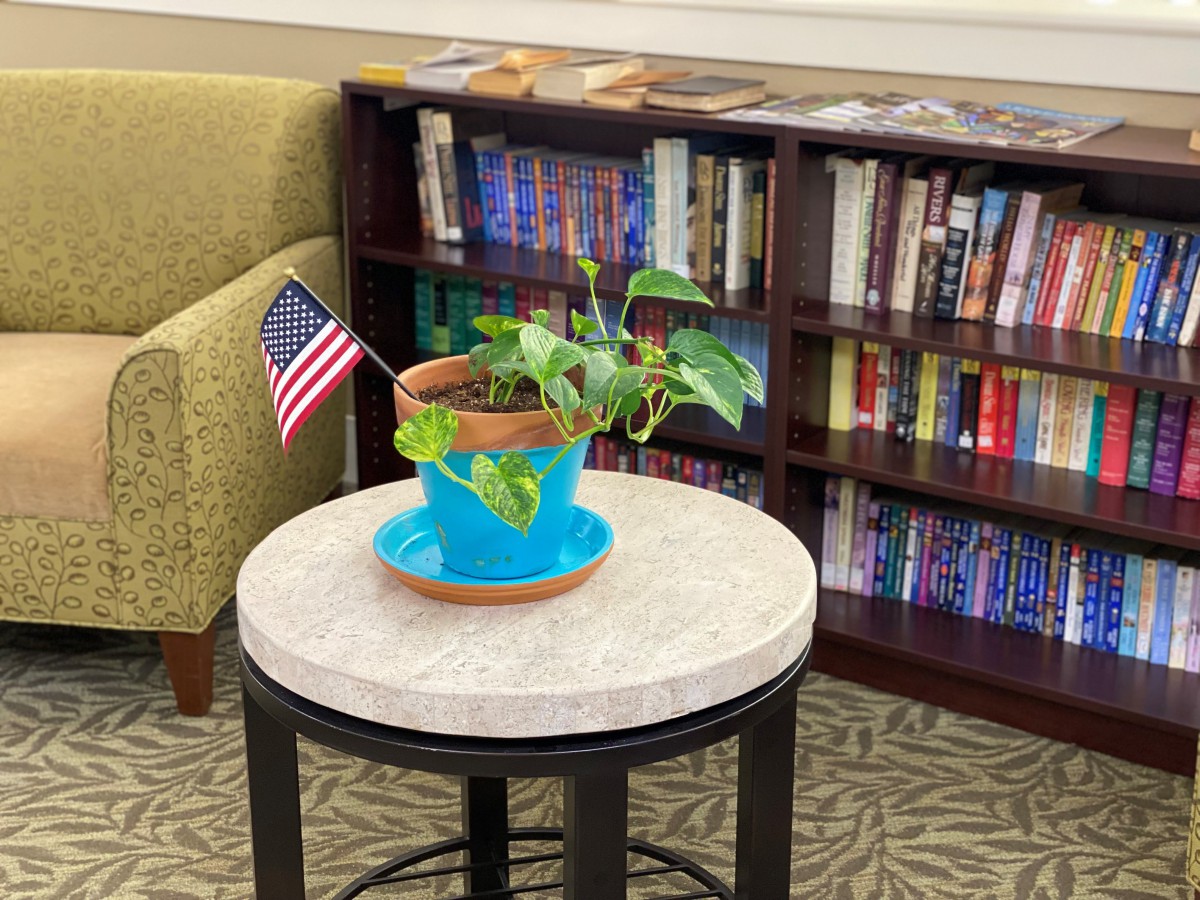 A cozy library corner with a potted plant and an American flag on a small table in front of a bookshelf.