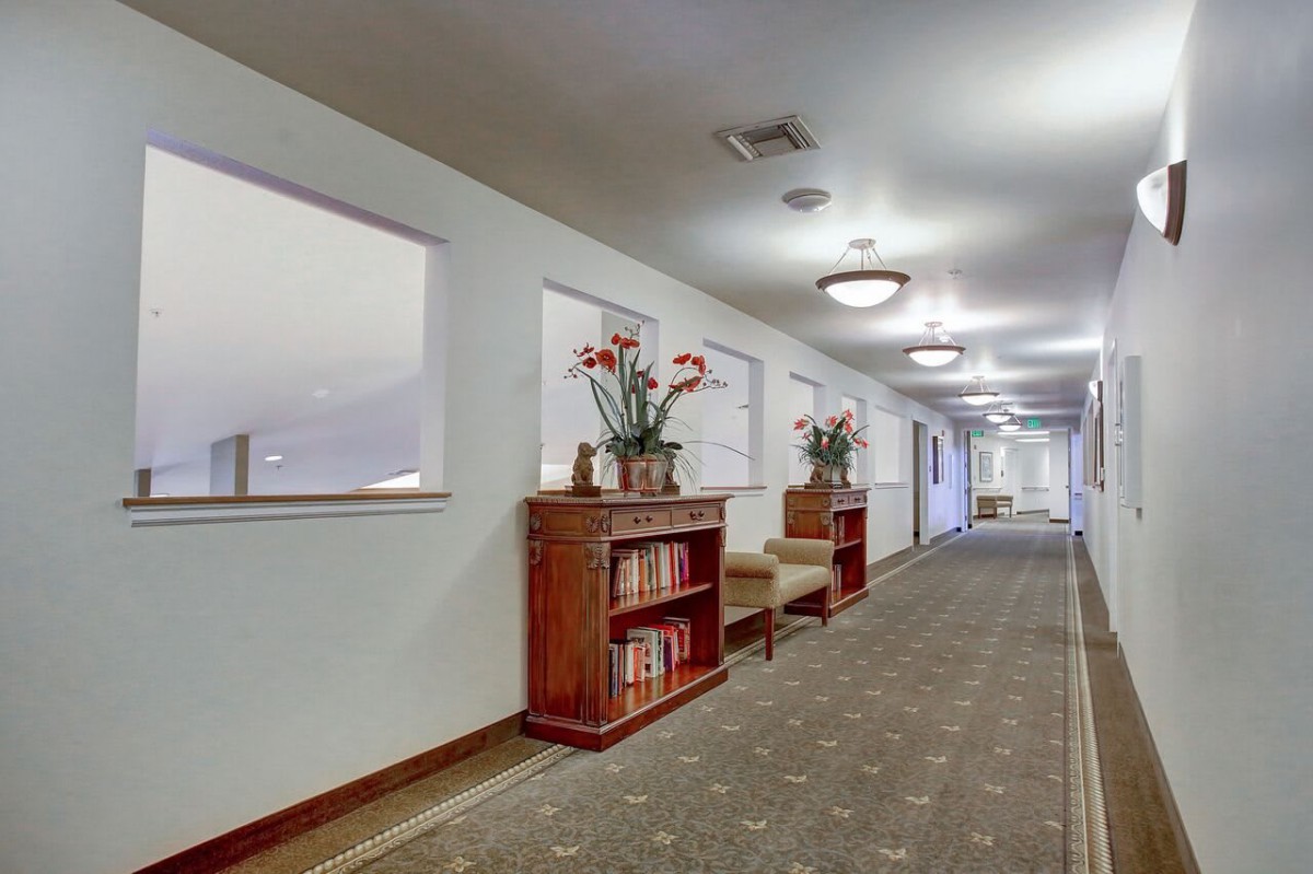 A well-lit hallway featuring bookshelves and decorative plants.