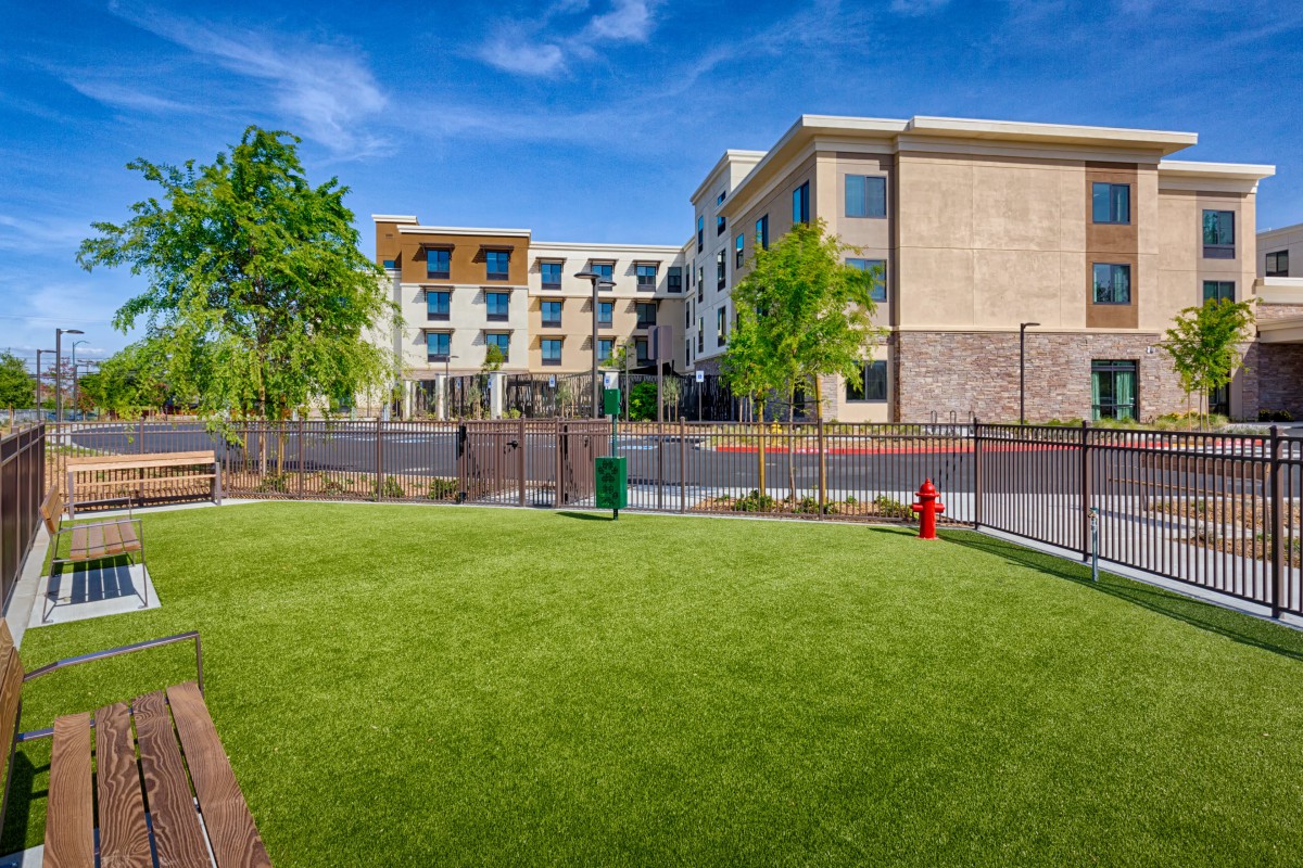 A landscaped area with a grassy lawn and trees in front of a modern building on a sunny day.