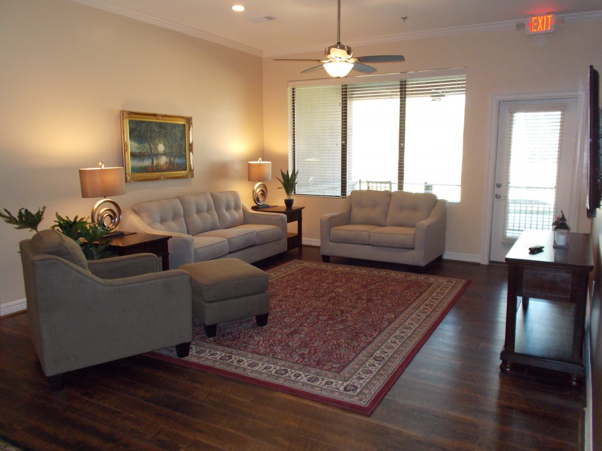 A cozy living room with a warm rug, sofas, and large windows providing natural light.