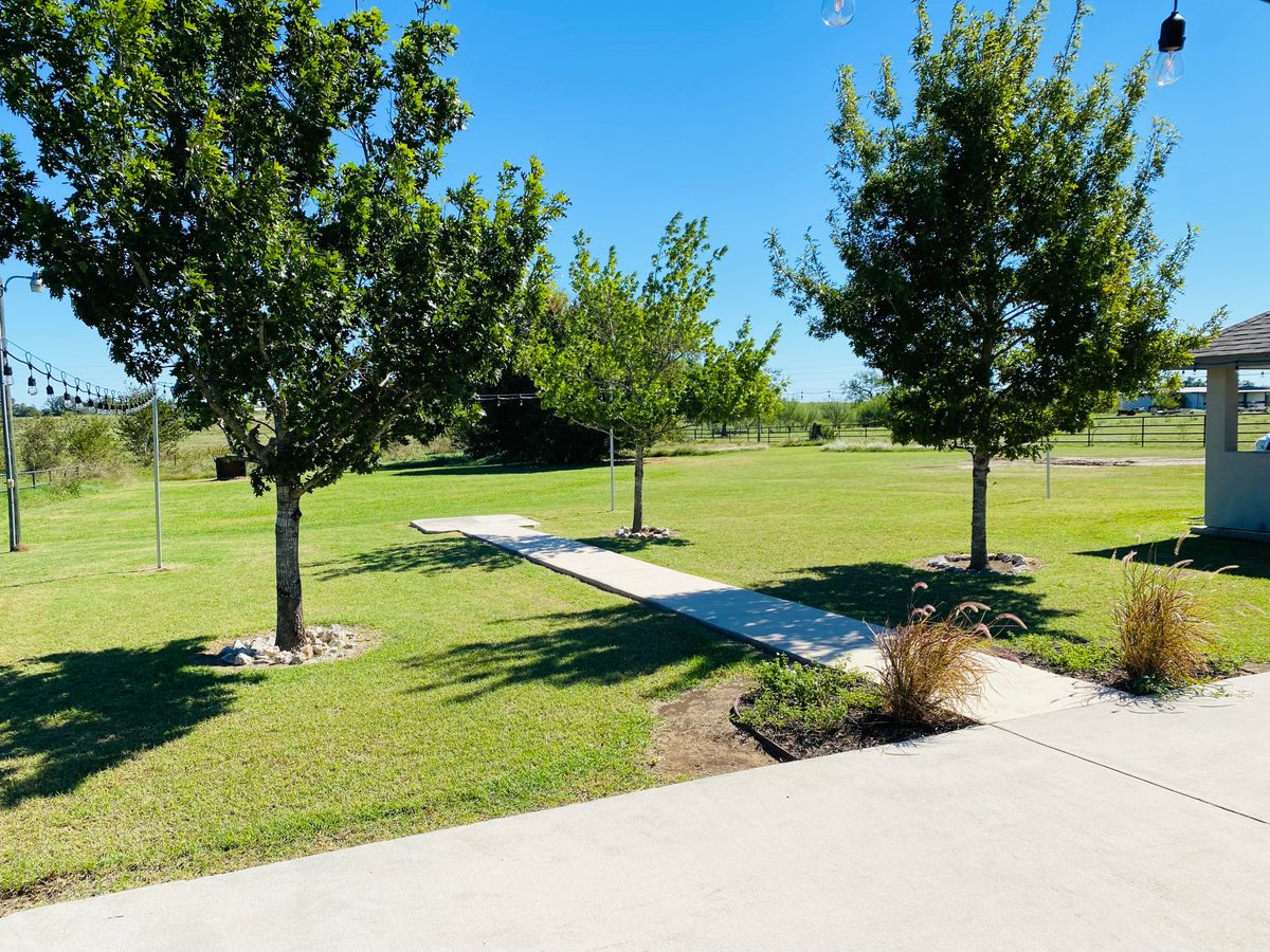 A sunny day in a park with a pathway and trees.
