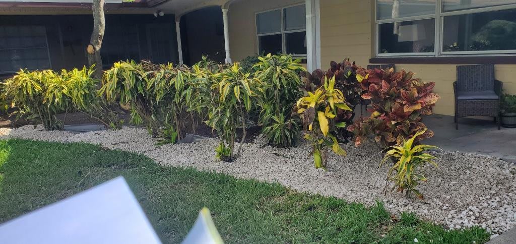 A garden with neatly arranged shrubs in front of a house.