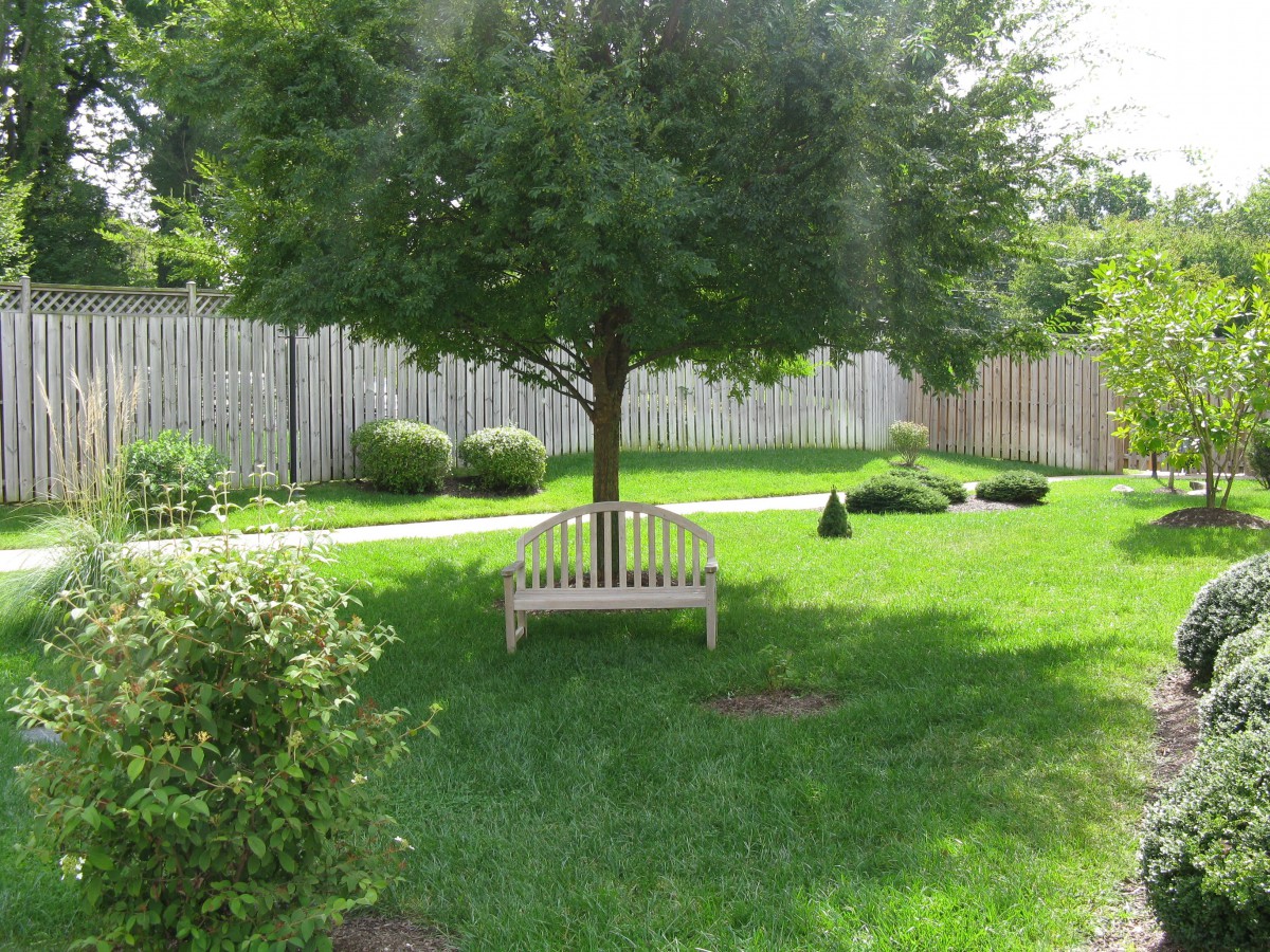 A tranquil garden scene with a bench under a tree surrounded by lush grass and a wooden fence.