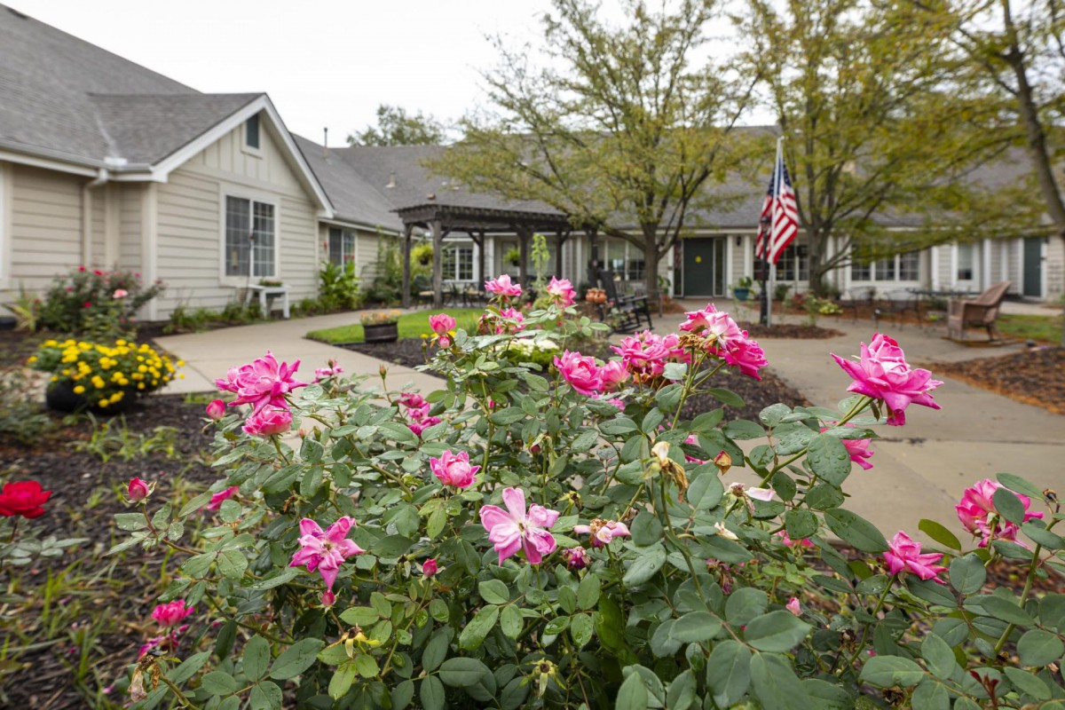 A garden with blooming pink roses in front of residential buildings, with trees and an American flag in the background.