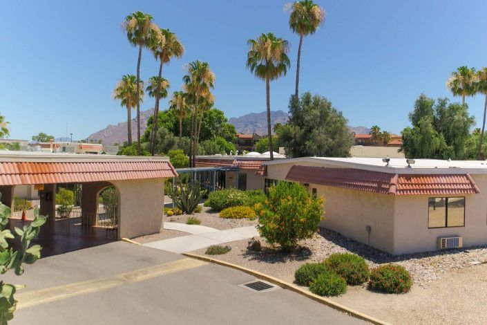 A suburban residential area with desert landscaping and palm trees under a clear blue sky.