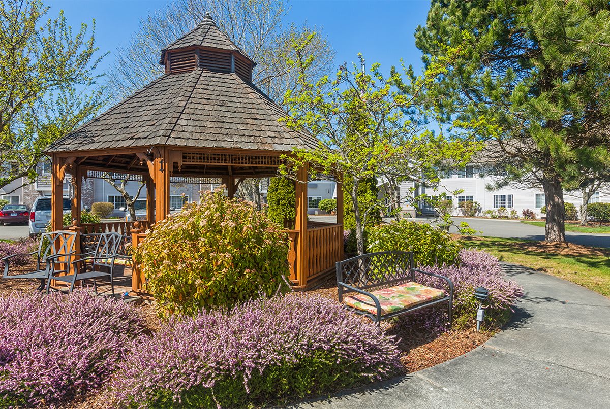 A charming garden with a wooden gazebo surrounded by vibrant shrubs and flowers, featuring a bench and a paved path leading through the landscaped area.