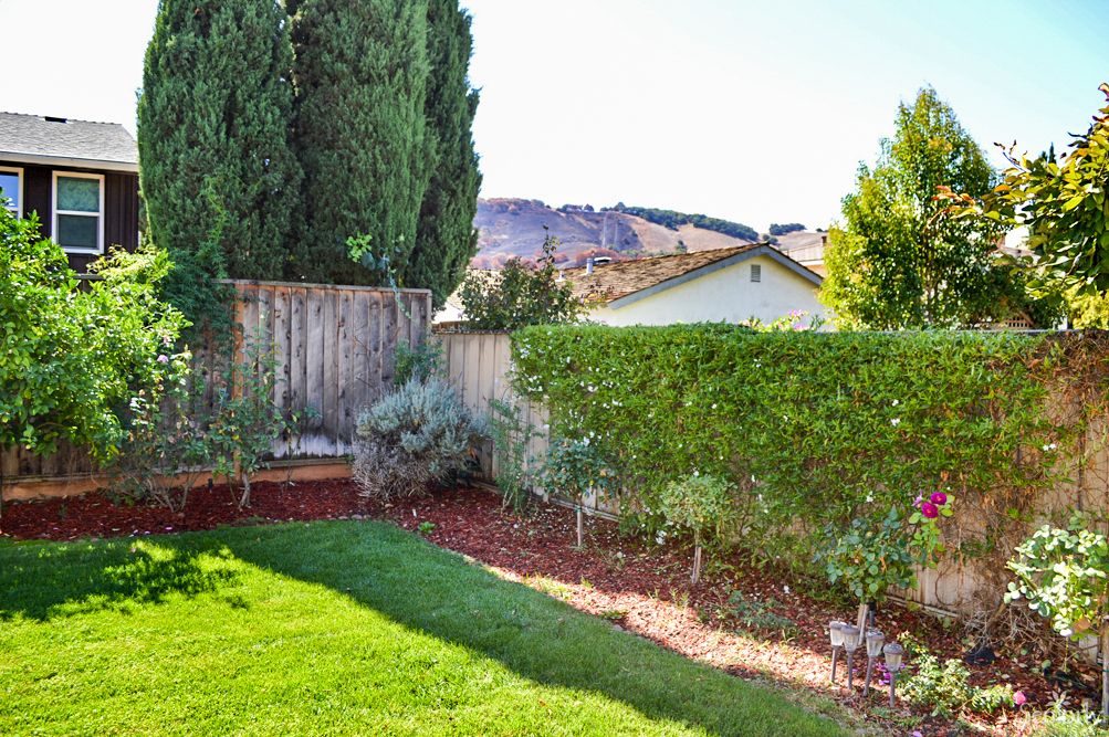 A well-maintained backyard with green grass, hedges, and trees, enclosed by a wooden fence.