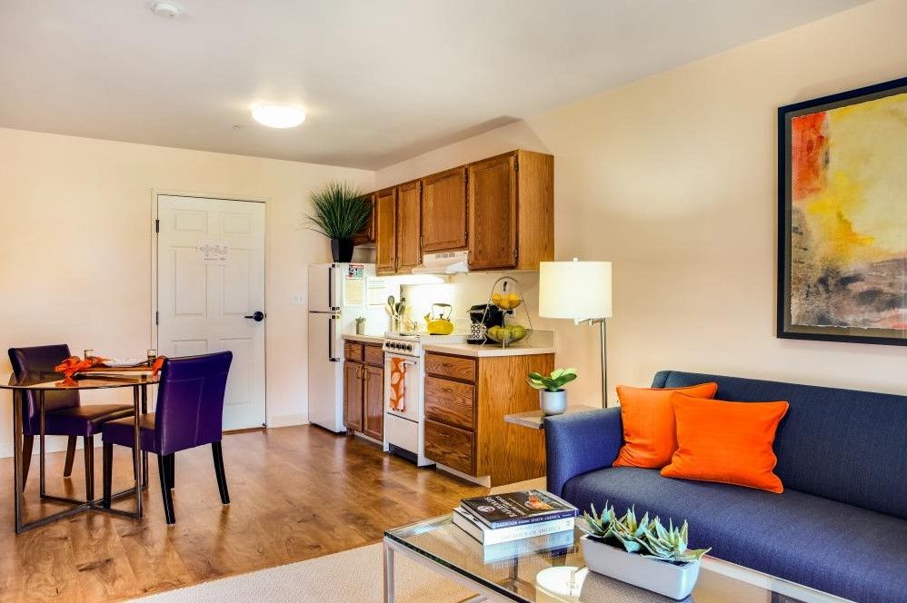 A modern and cozy open-plan living area with a compact kitchen, vibrant decor, and wooden flooring.