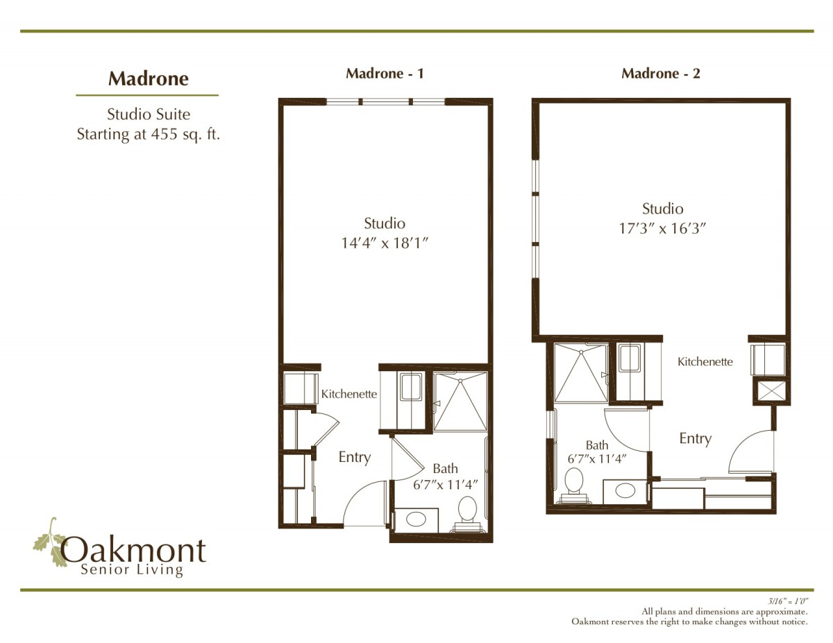 A detailed floor plan of a studio apartment showing two layout options, each with designated areas for living and amenities.