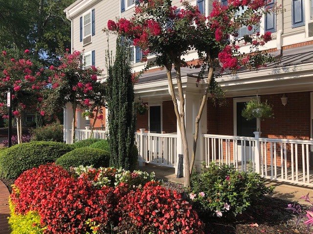 A beautiful garden with vibrant flowers and well-maintained landscaping in front of a residential building.