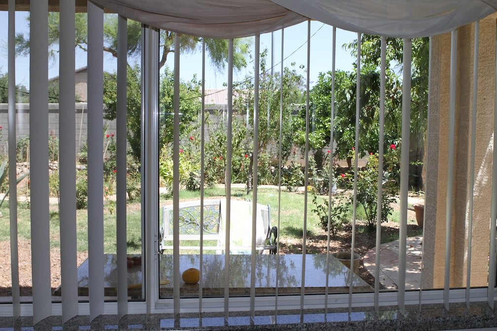 View through a window with metal bars overlooking a garden.