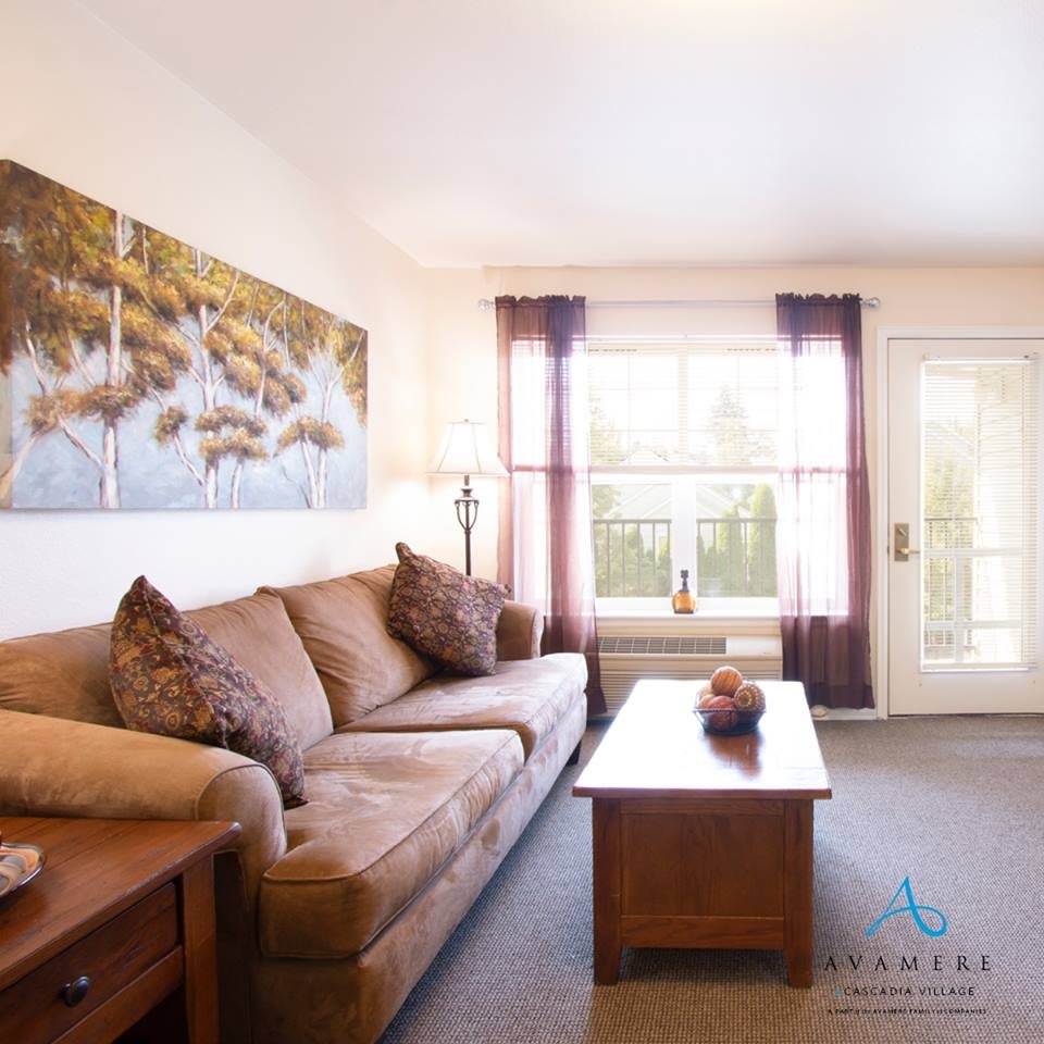 A cozy living room with a brown sofa, a wooden coffee table, and a large window allowing natural light.