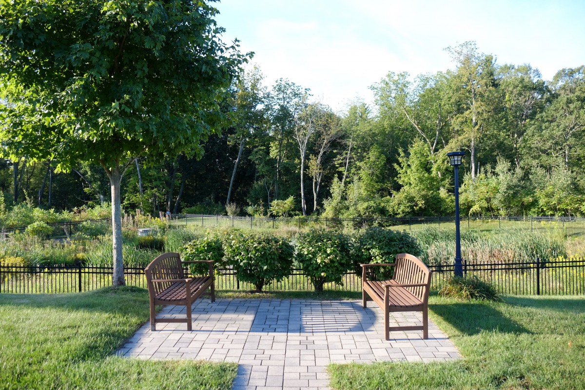 A peaceful park scene with two benches facing a lush green landscape.