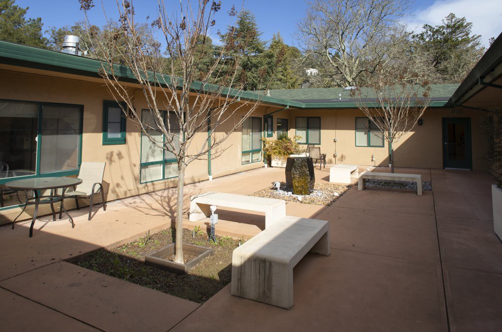 A sunny courtyard with trees, benches, and a building surrounding it.