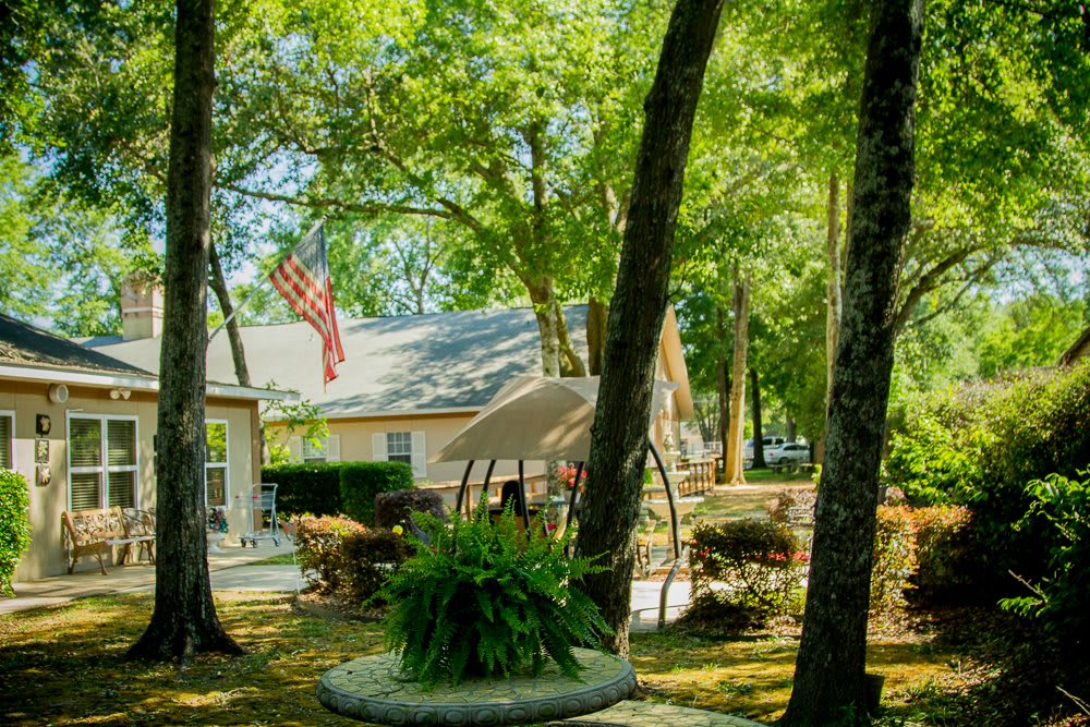 A sunny backyard with a swing, lush greenery, and an American flag in front of a house.