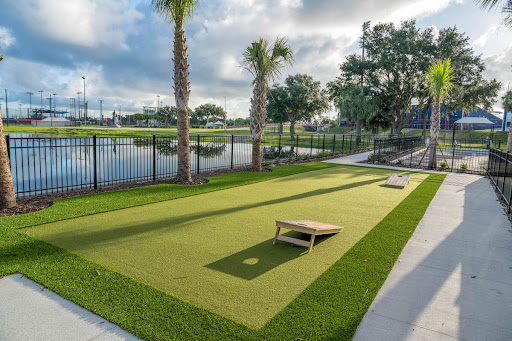 A picturesque outdoor corn hole game area surrounded by lush green grass and palm trees, with a tranquil water view.