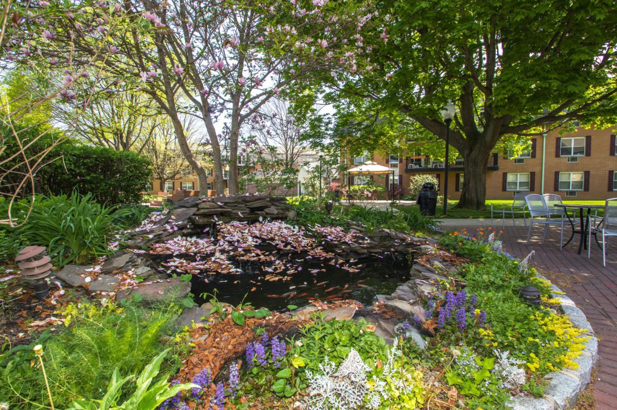 A serene garden with a pond surrounded by lush greenery and colorful flowers.
