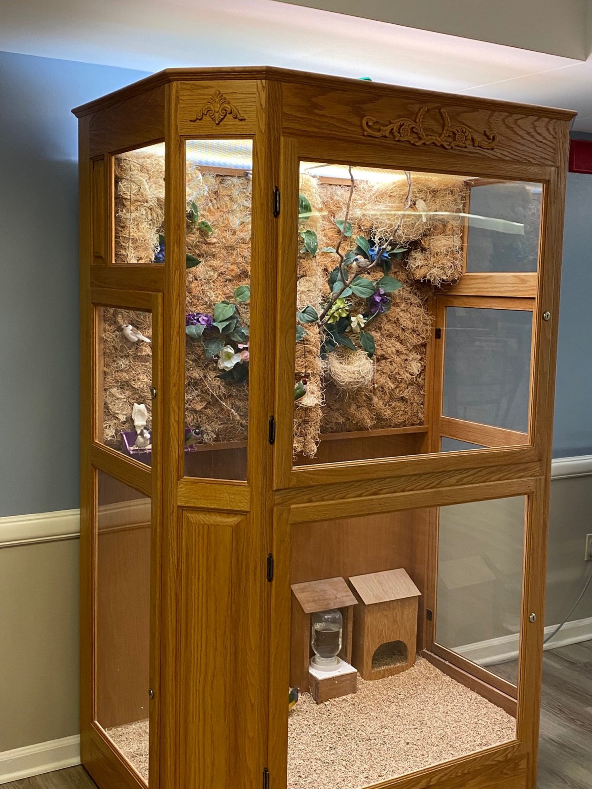 A wooden and glass display case, showcasing an exhibit with a natural theme.
