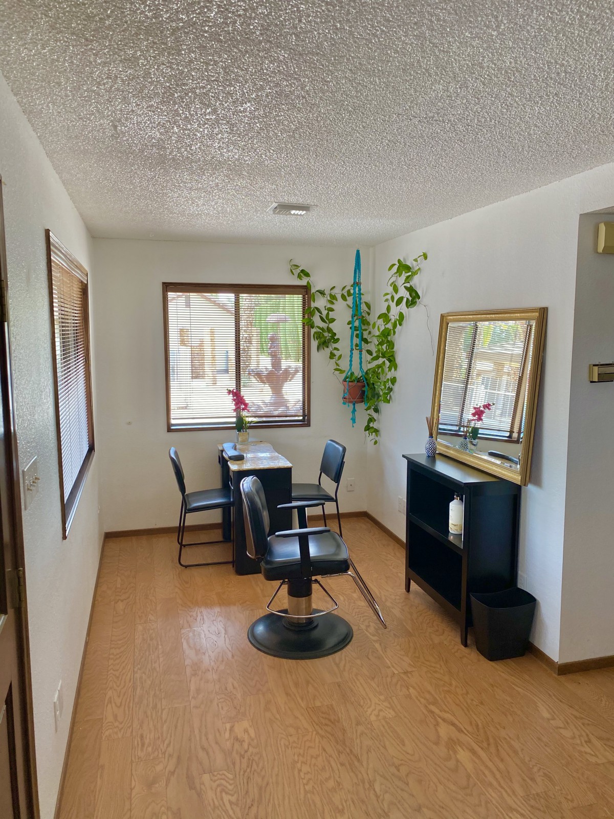 A cozy salon interior with chairs, mirrors, and plants by a window.