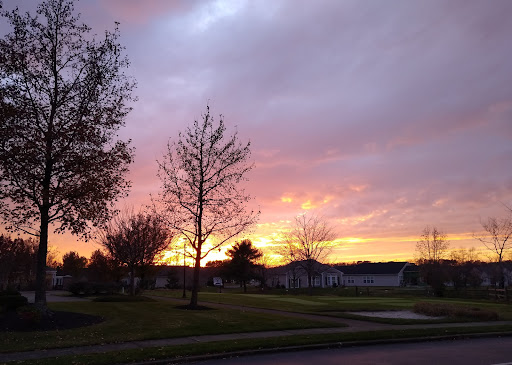 A beautiful sunset painted the sky in vibrant colors, framed by bare trees.