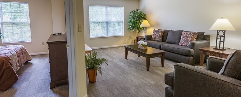 A cozy living room with a sofa, coffee table, and decorative plants.