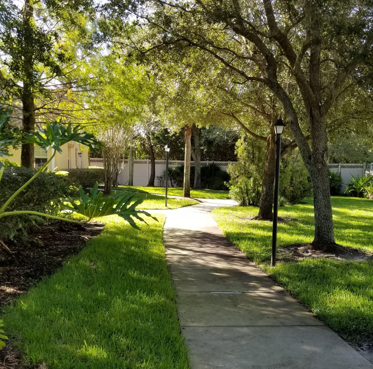 A serene pathway surrounded by lush greenery and trees.