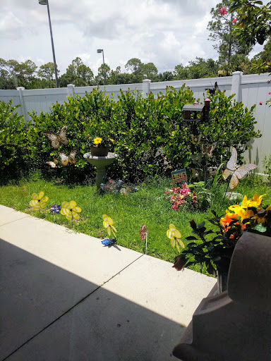 A vibrant garden with various flowers and plants, showcasing a lively outdoor space.