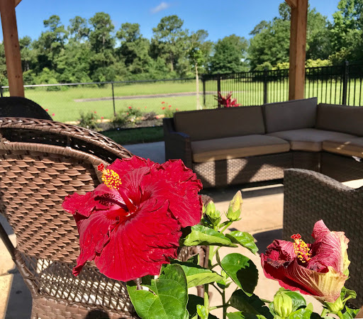 Golden Years Assisted Living