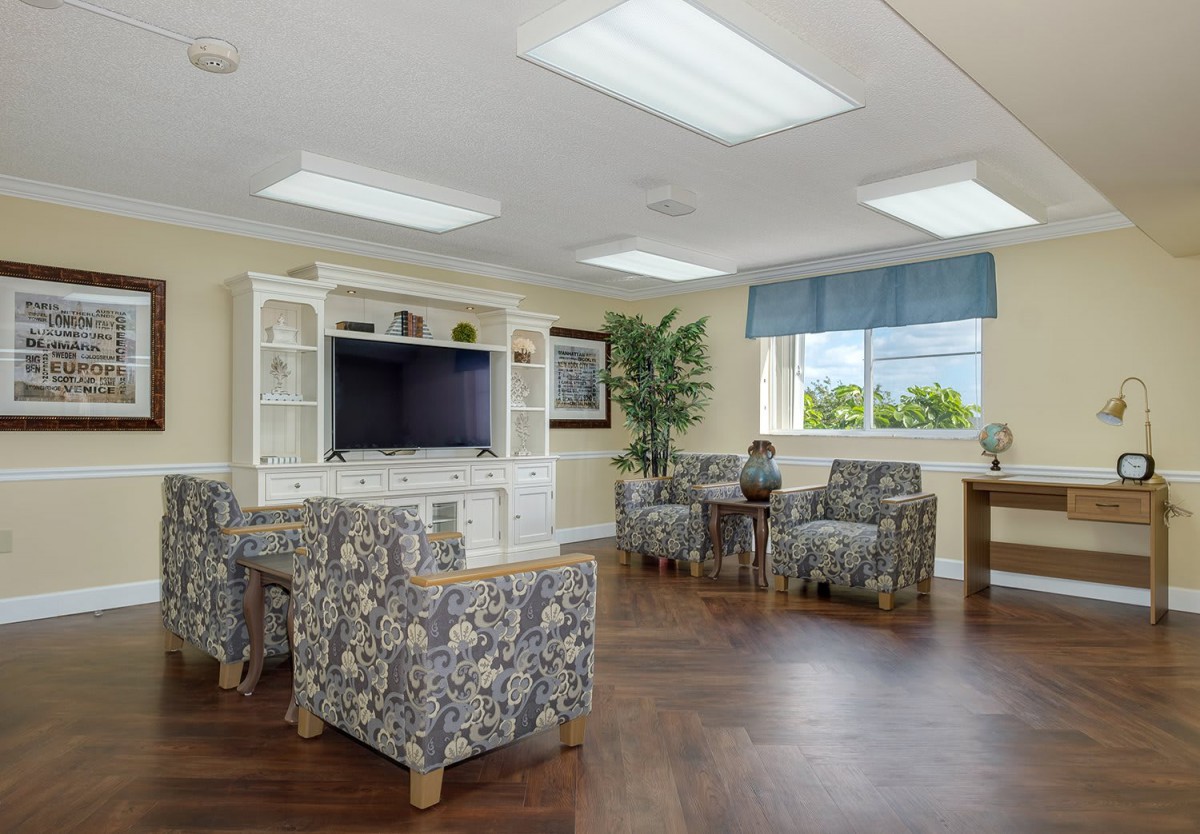 A cozy living room with patterned chairs, a large television, and natural lighting from a window.