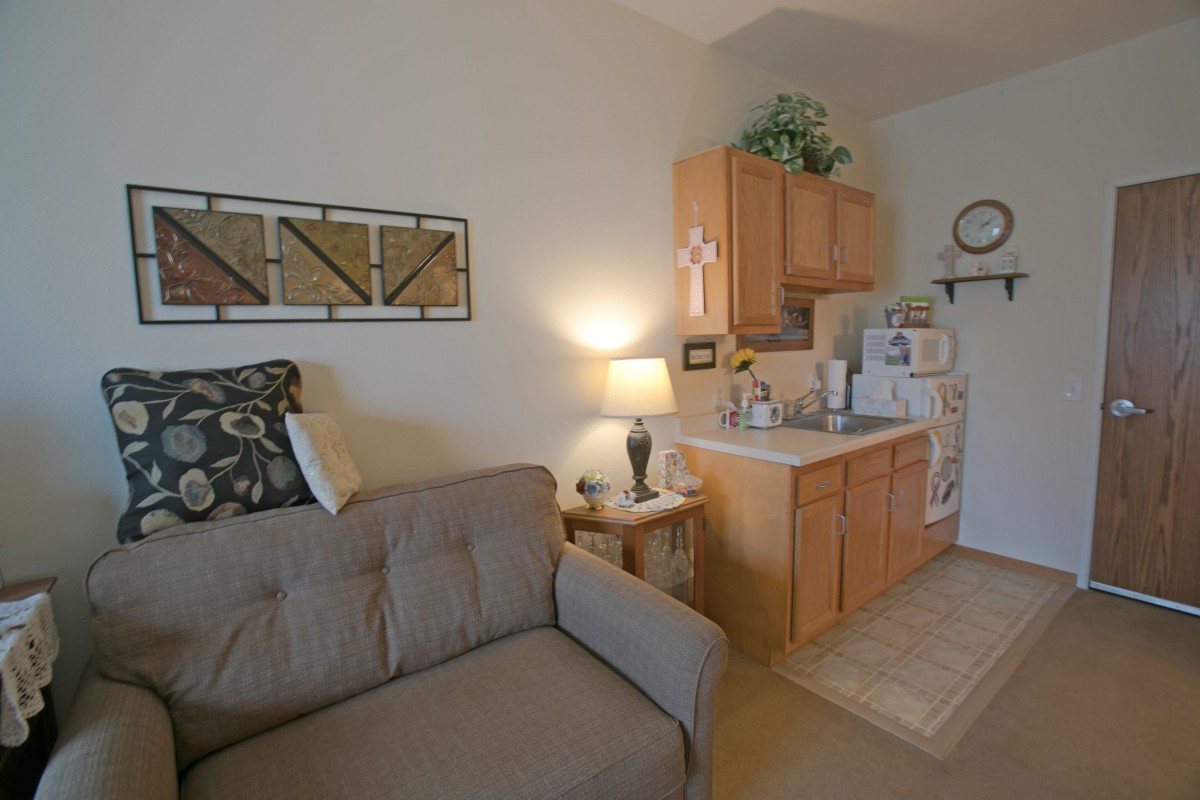 A cozy apartment living area with a sofa and small kitchenette.