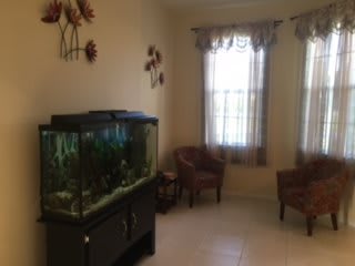 A cozy living room with an aquarium and two chairs by the window.