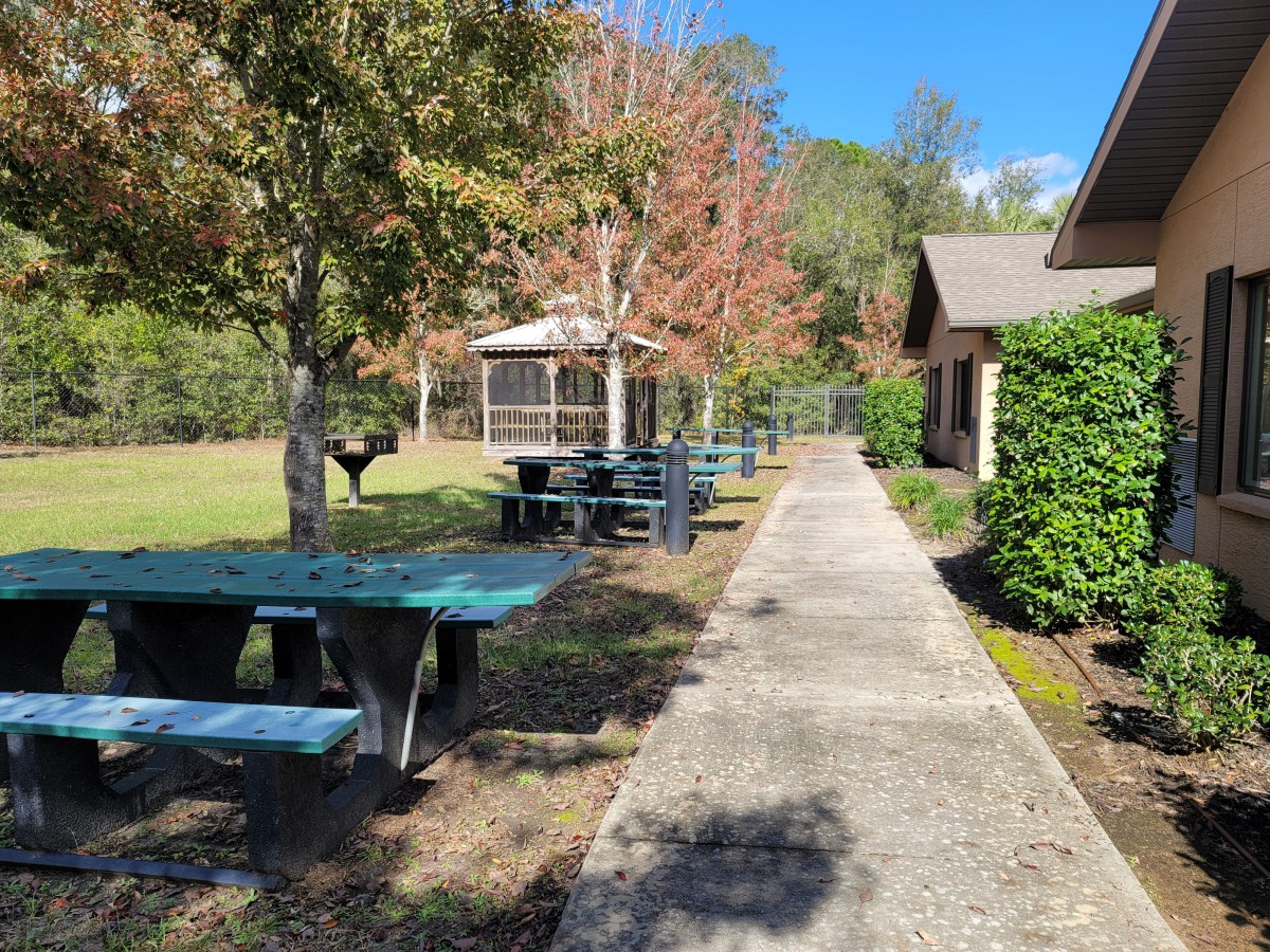 A serene park scene featuring picnic tables lined along a walkway, with trees showing autumn colors and a gazebo in the background.